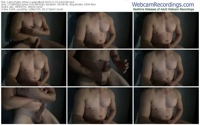 cam4-angridbird-11-15-2025-16-31-38