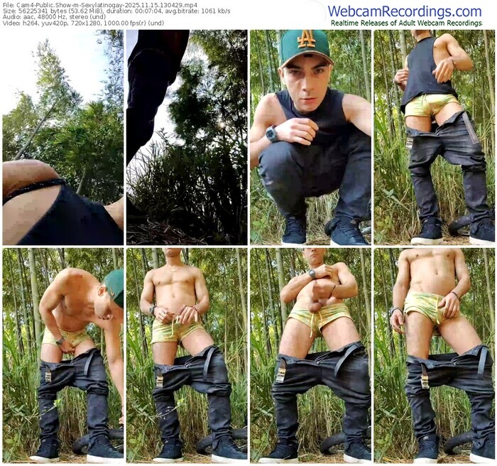 cam4-sexylatinogay-11-15-2025-13-04-29