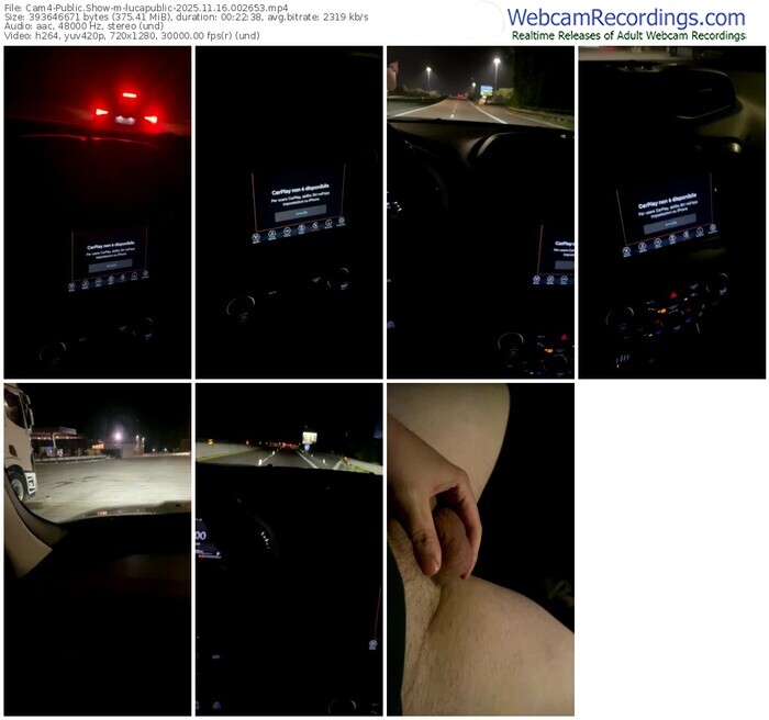 cam4-lucapublic-11-16-2025-00-26-53