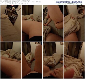 cam4-sapessi3-11-17-2025-06-02-47