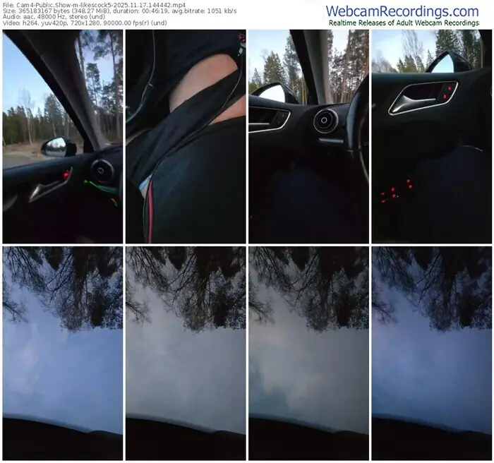 cam4-likescock5-11-17-2025-14-44-42