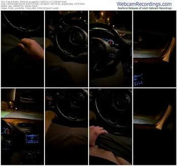 cam4-lucapublic-11-17-2025-23-20-03