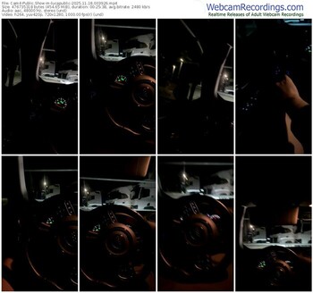 cam4-lucapublic-11-18-2025-00-39-26