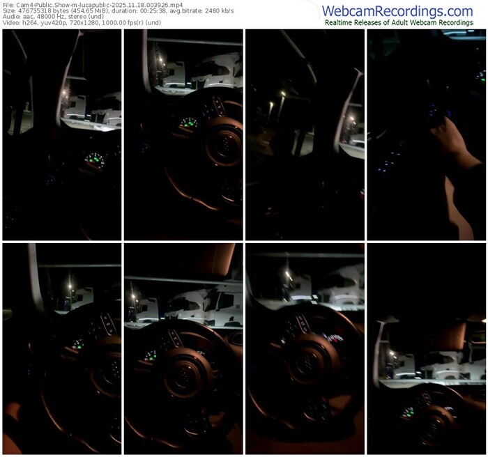 cam4-lucapublic-11-18-2025-00-39-26