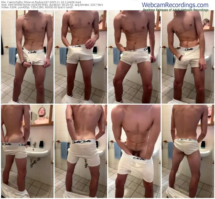 cam4-toyboy247-11-19-2025-11-44-09