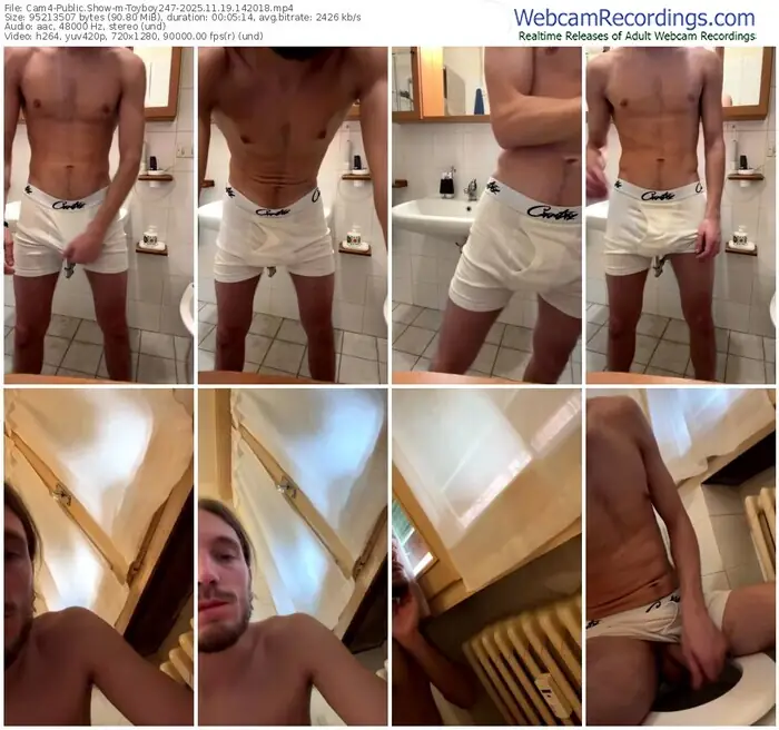 cam4-toyboy247-11-19-2025-14-20-18
