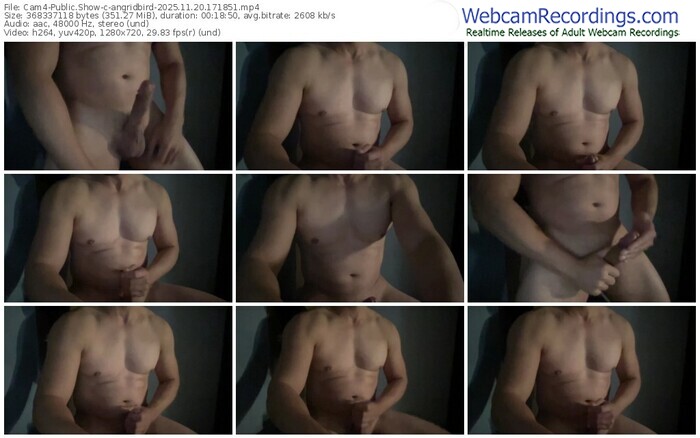 cam4-angridbird-11-20-2025-17-18-51