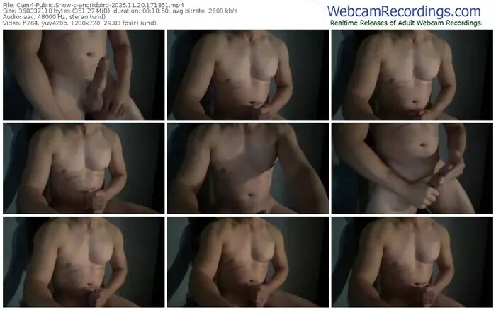 cam4-angridbird-11-20-2025-17-18-51