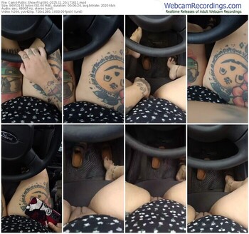 cam4-luz091-11-20-2025-17-16-11