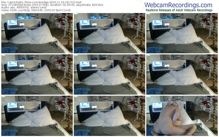 cam4-mickredge-11-23-2025-16-17-10