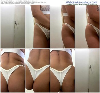 cam4-camille022-11-24-2025-03-46-27