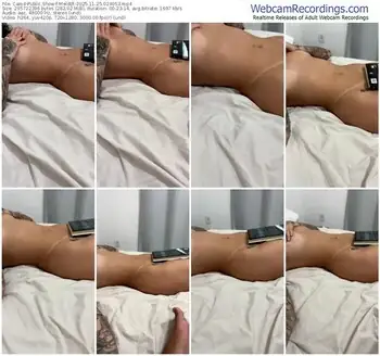 cam4-melddt-11-25-2025-02-40-53