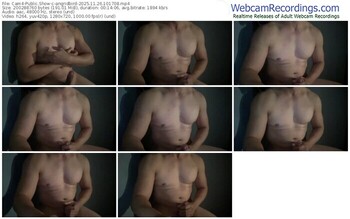 cam4-angridbird-11-26-2025-10-17-08