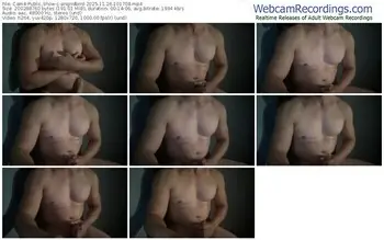 cam4-angridbird-11-26-2025-10-17-08