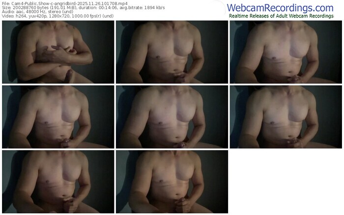 cam4-angridbird-11-26-2025-10-17-08