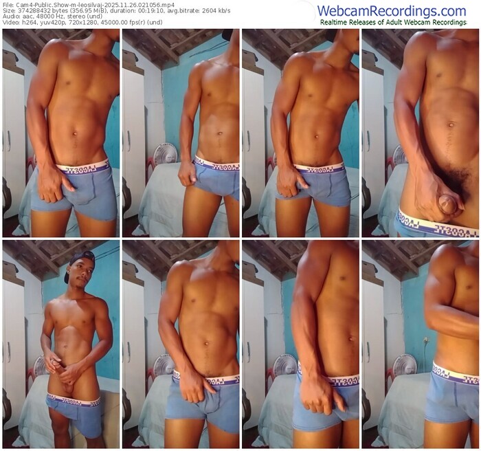 cam4-leosilvaj-11-26-2025-02-10-56