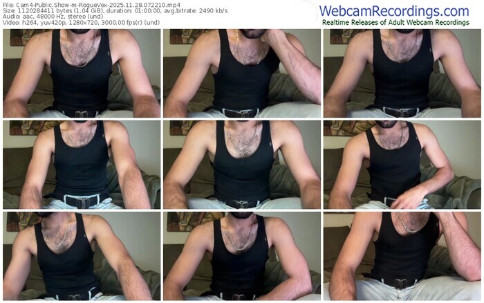 cam4-roguevex-11-28-2025-07-22-10