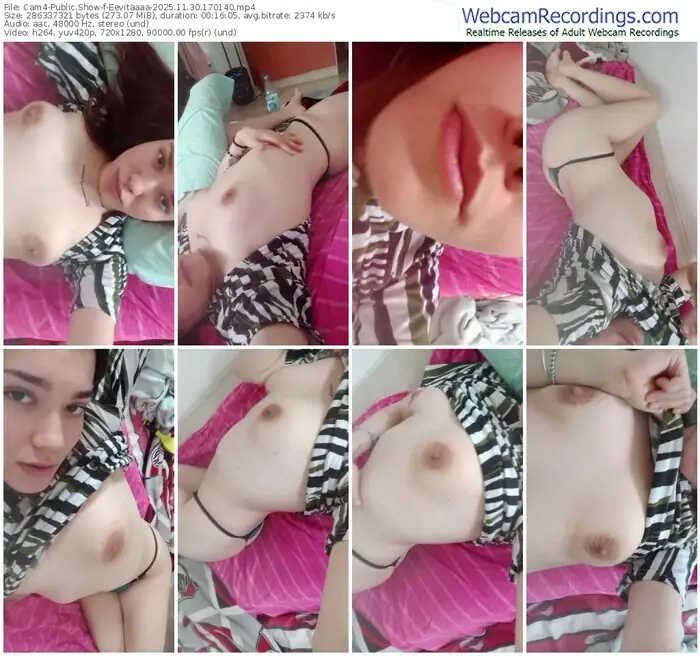 cam4-eevitaaaa-11-30-2025-17-01-40