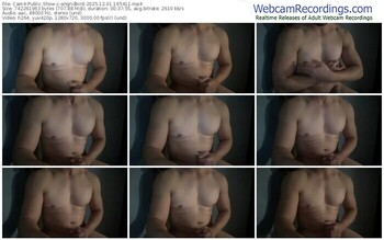 cam4-angridbird-12-01-2025-16-54-11