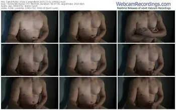 cam4-angridbird-12-01-2025-16-54-11