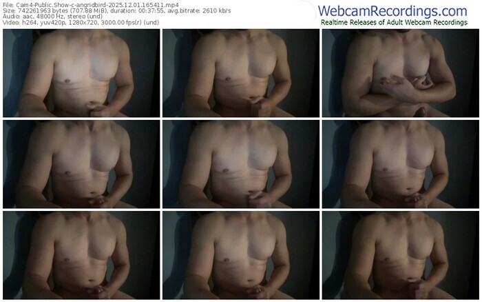 cam4-angridbird-12-01-2025-16-54-11