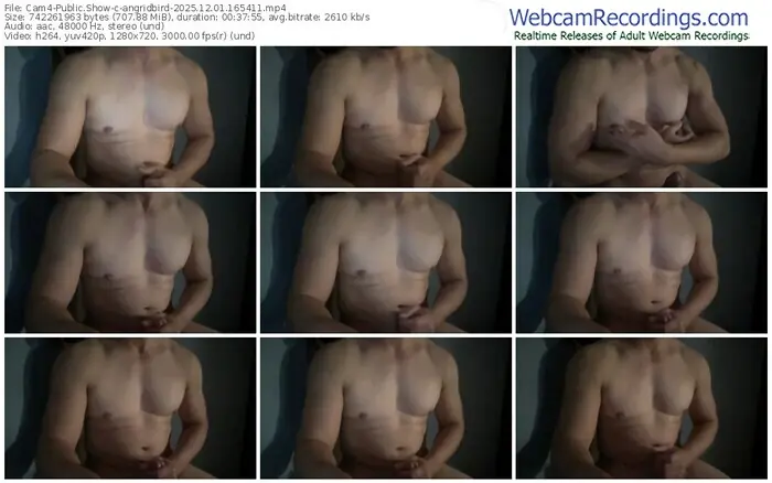 cam4-angridbird-12-01-2025-16-54-11