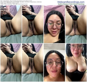 cam4-gatavuela-12-01-2025-05-21-13