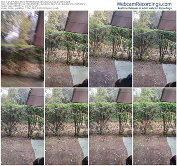 cam4-petitebombe34-12-01-2025-14-26-56