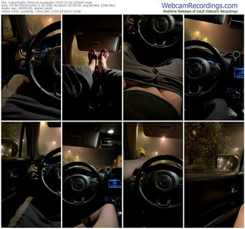 cam4-lucapublic-12-02-2025-22-58-47