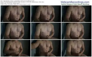 cam4-angridbird-12-03-2025-18-01-32