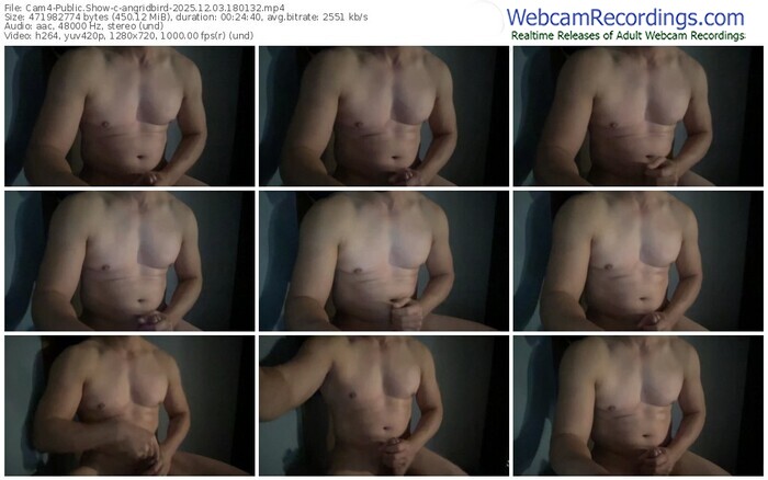 cam4-angridbird-12-03-2025-18-01-32