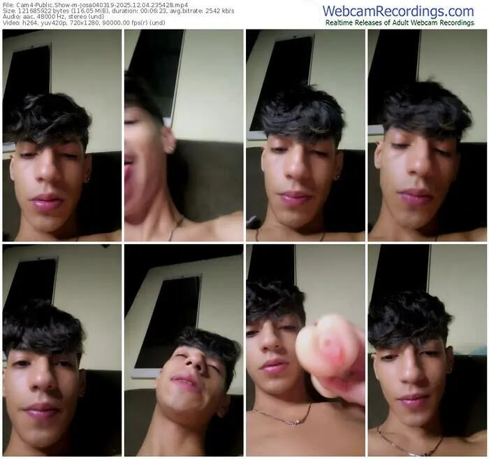 cam4-josa040319-12-04-2025-23-54-28