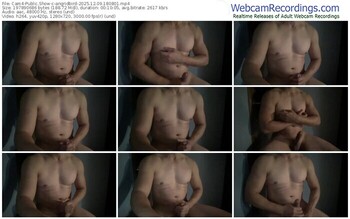 cam4-angridbird-12-09-2025-18-08-01