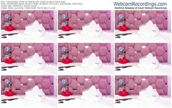 cam4-tylerbloom-12-09-2025-11-30-14