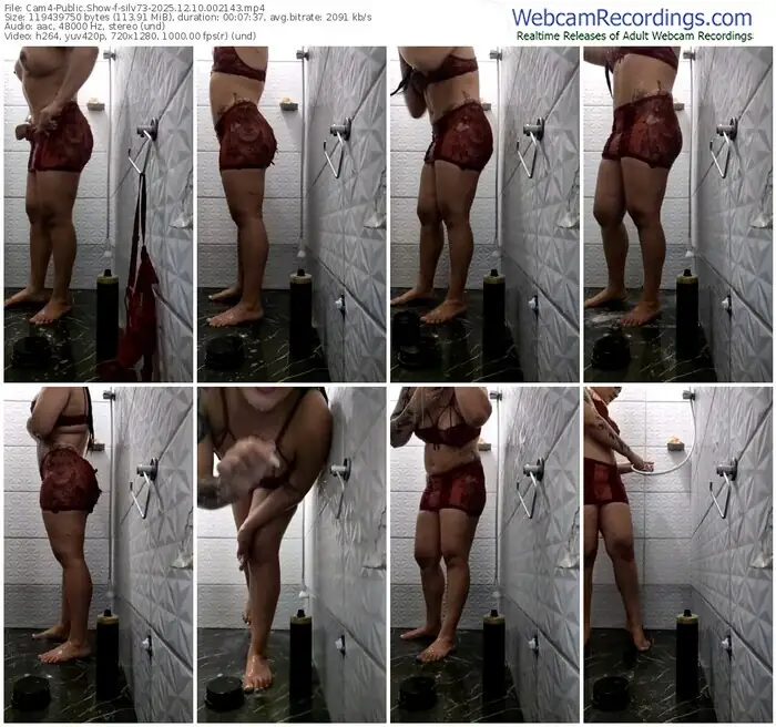 cam4-silv73-12-10-2025-00-21-43