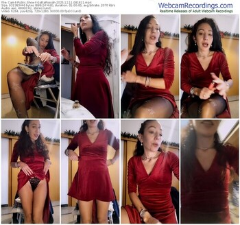 cam4-gattarossah-12-11-2025-08-18-11