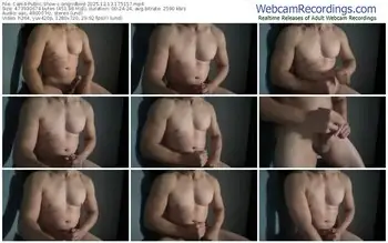 cam4-angridbird-12-13-2025-17-51-57