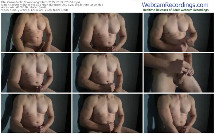 cam4-angridbird-12-13-2025-17-51-57