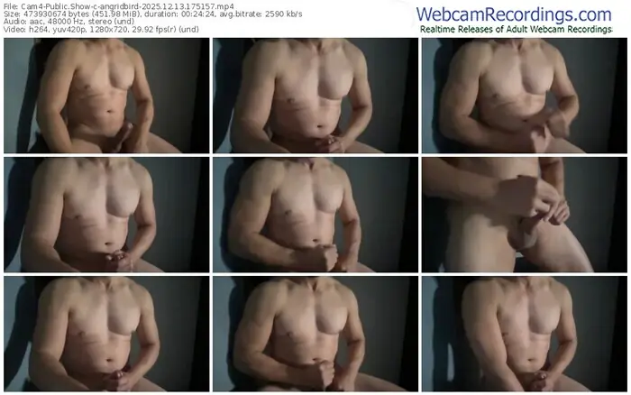 cam4-angridbird-12-13-2025-17-51-57