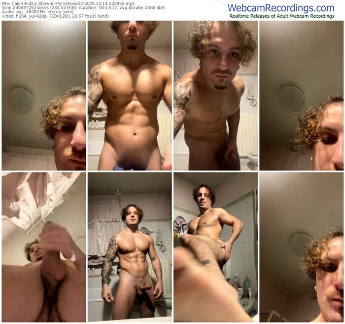 cam4-porcellone22-12-14-2025-22-28-56