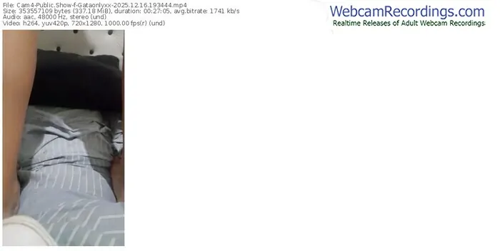 cam4-gataonlyxx-12-16-2025-19-34-44