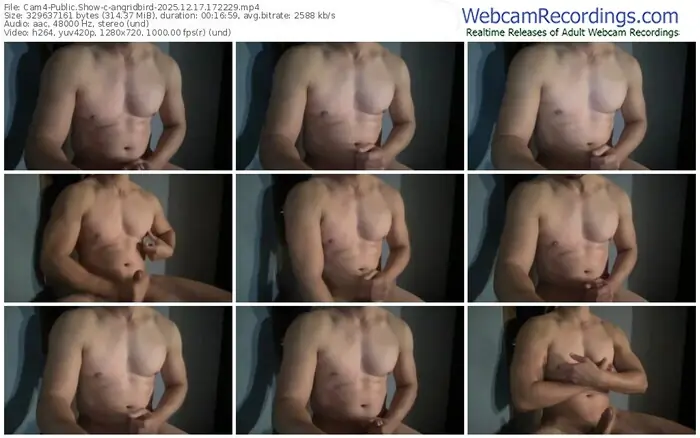 cam4-angridbird-12-17-2025-17-22-29