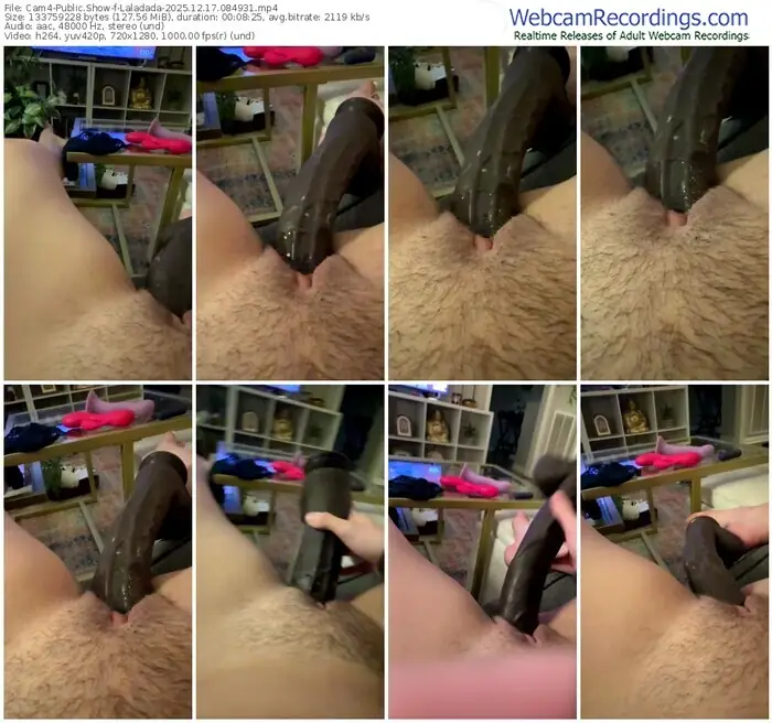 cam4-laladada-12-17-2025-08-49-31