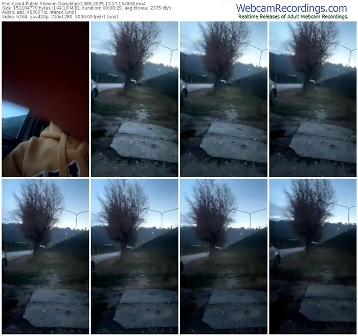 cam4-danyblack1985-12-17-2025-15-48-08