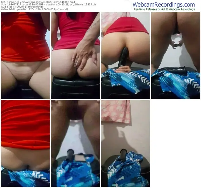 cam4-gataonlyxx-12-23-2025-04-10-02