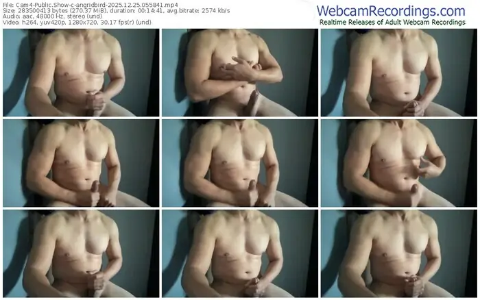 cam4-angridbird-12-25-2025-05-58-41