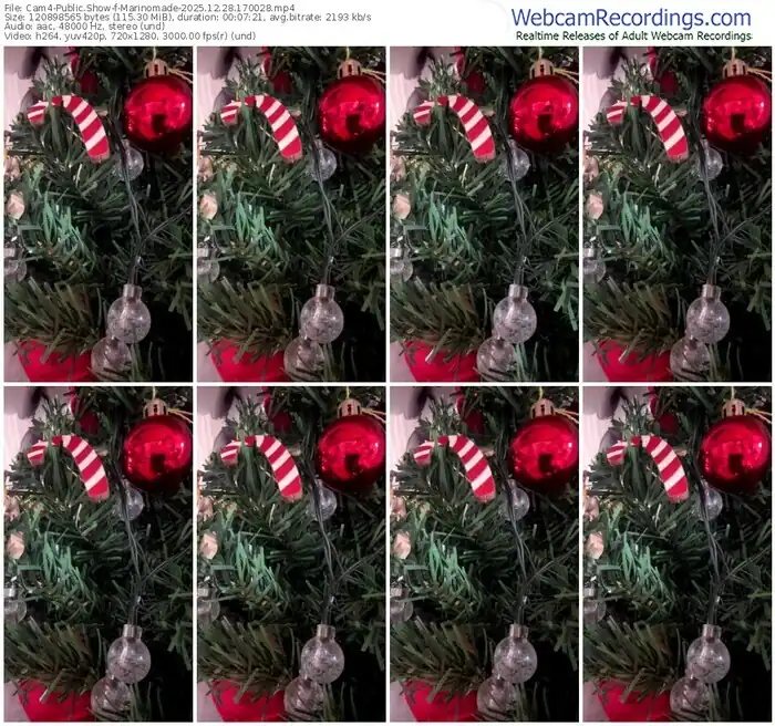 cam4-marinomade-12-28-2025-17-00-28