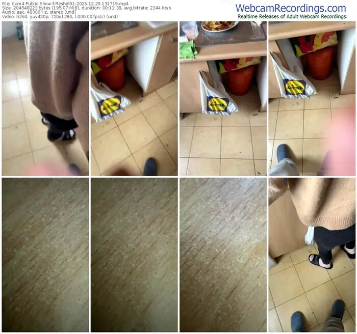 cam4-reshel91-12-29-2025-13-17-19