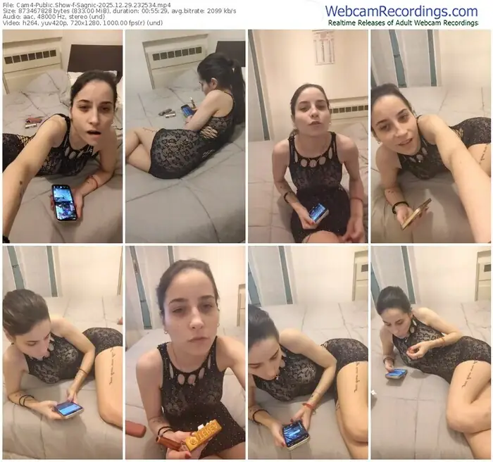 cam4-sagnic-12-29-2025-23-25-34