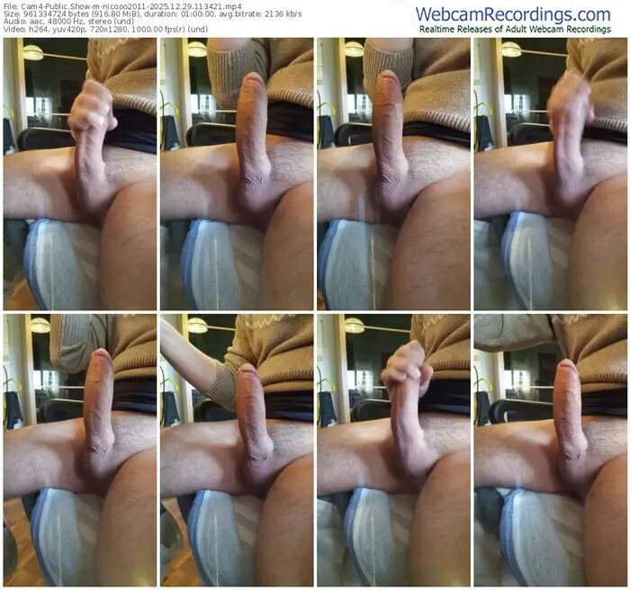 cam4-nicooo2011-12-29-2025-11-34-21